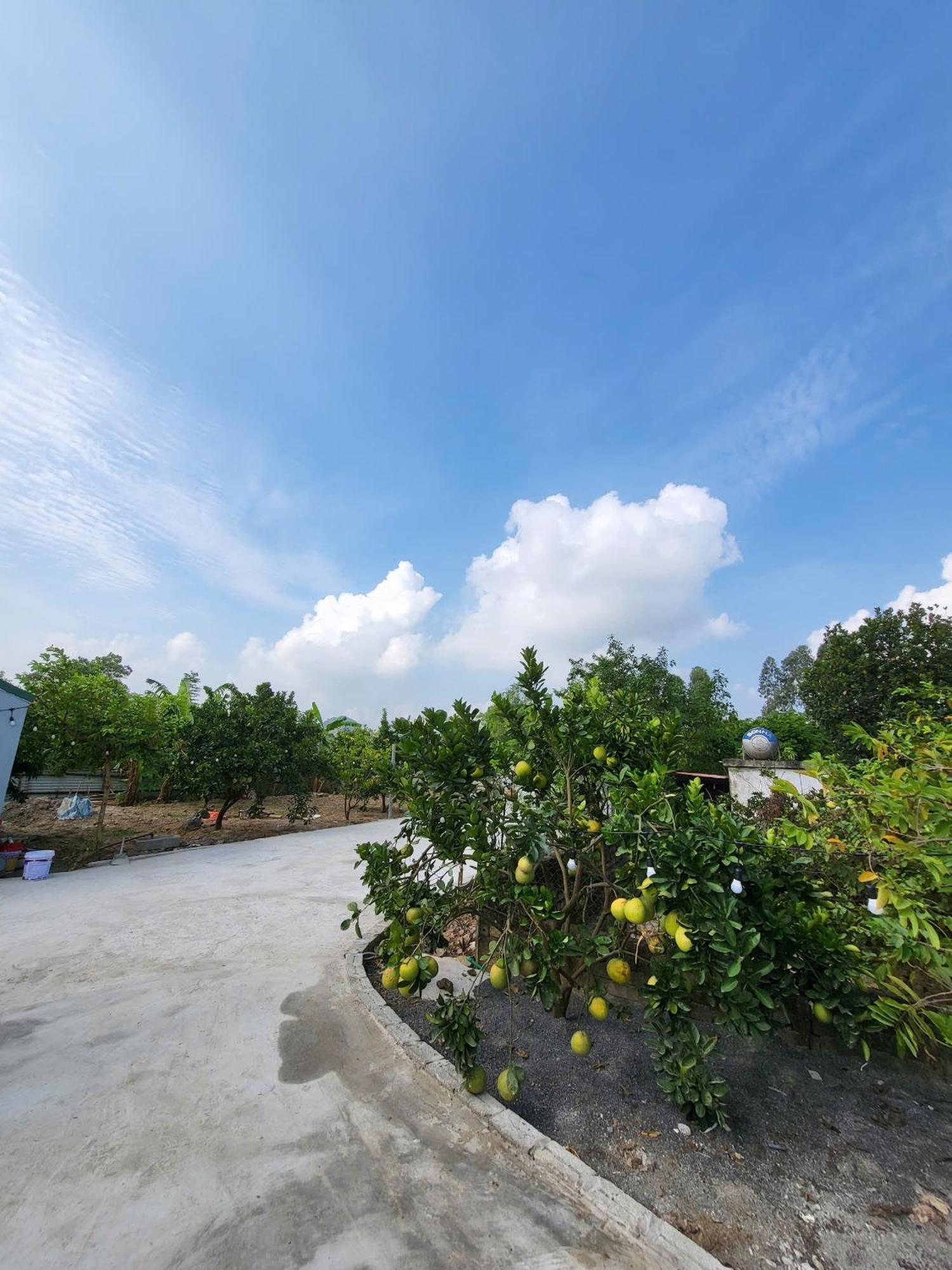 Apartamento Tam Coc Pomelo Garden Ninh Binh Exterior foto