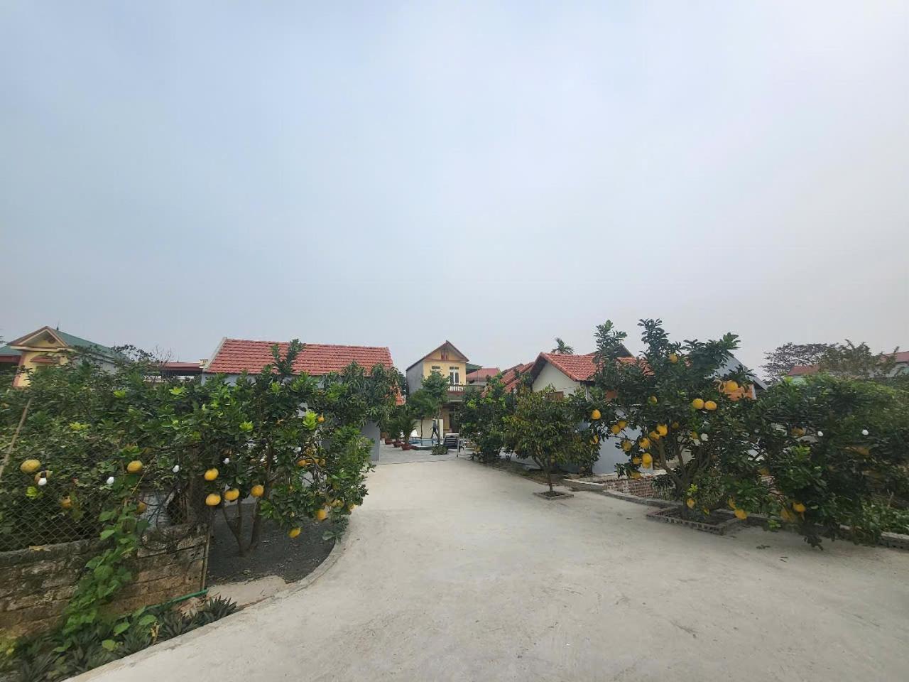 Apartamento Tam Coc Pomelo Garden Ninh Binh Exterior foto